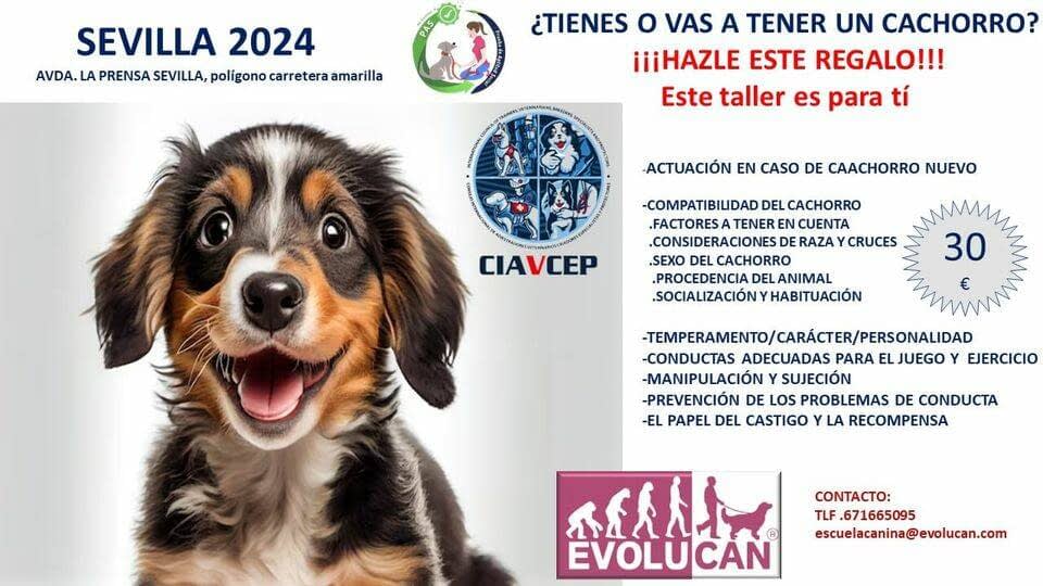 ¿Tienes o vas a tener un cachorro? Este taller es para ti