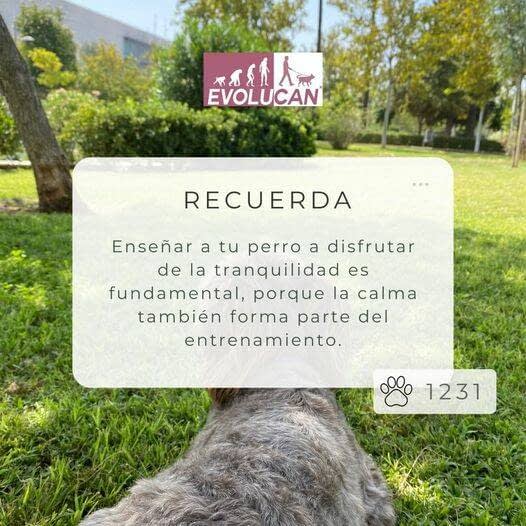 En Evolucan, sabemos que la calma también se entrena